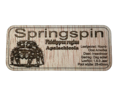 Naam/soort bordjes springspinnen