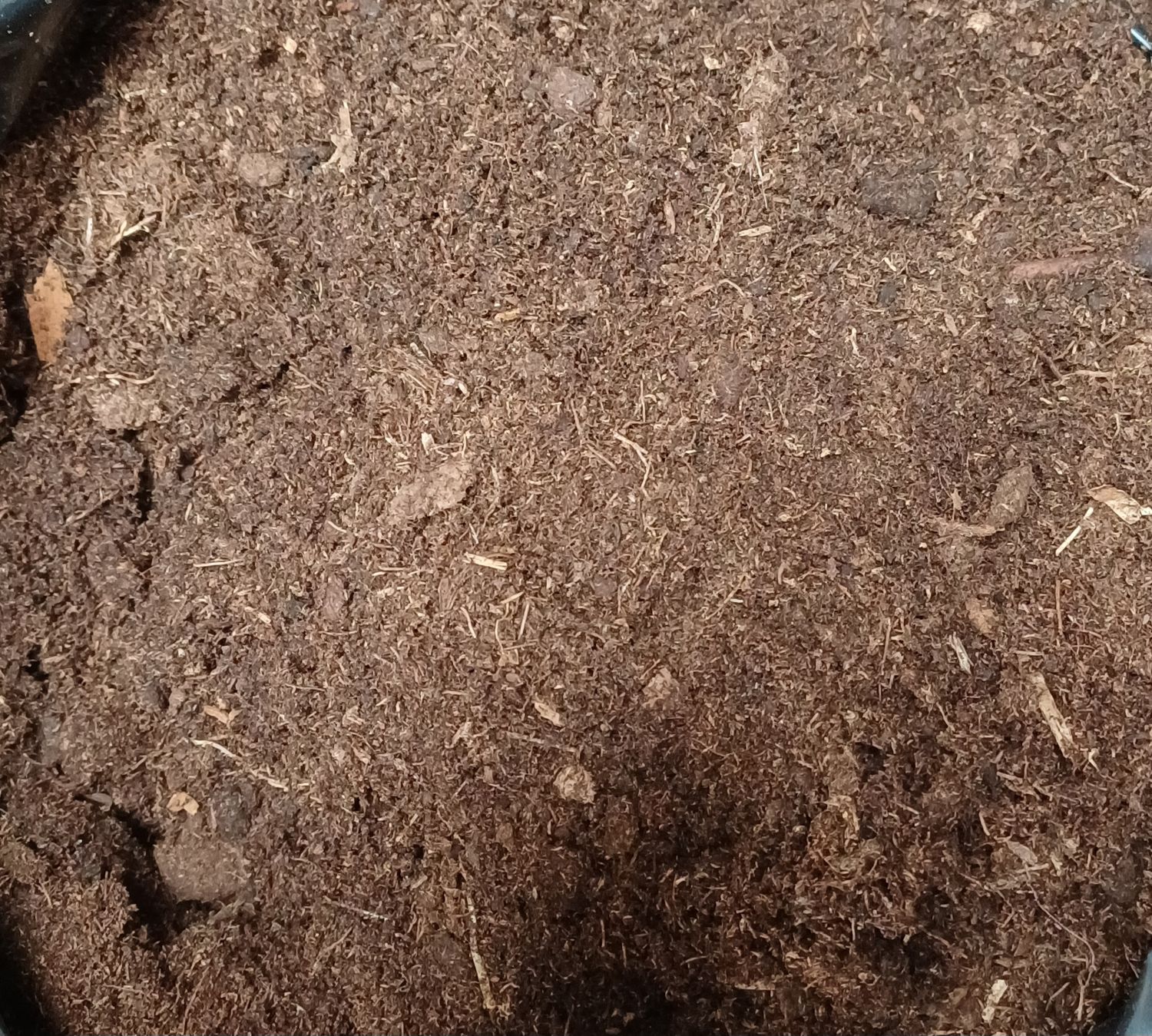 Biologische tuinturf