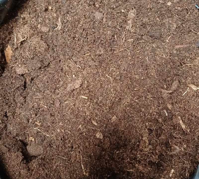 Biologische tuinturf