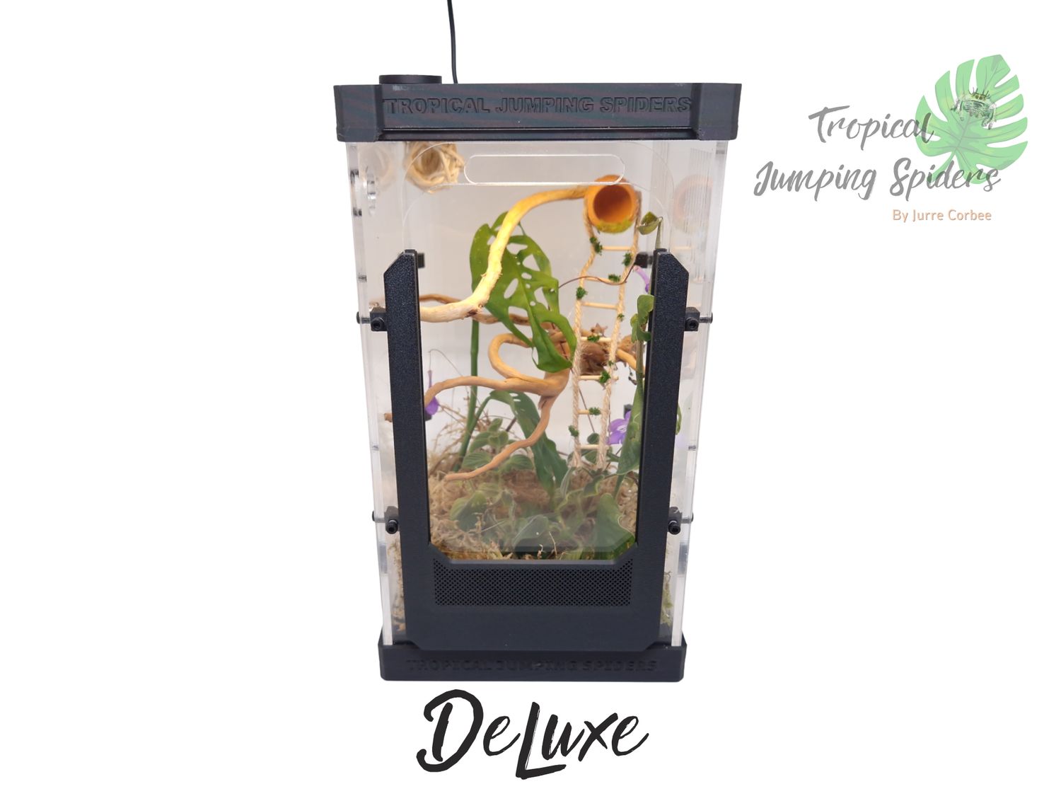 Springspinnen Verblijf &quot;DeLuxe&quot;