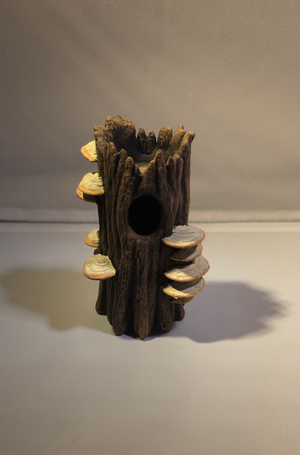 Holle boomstam met paddestoelen