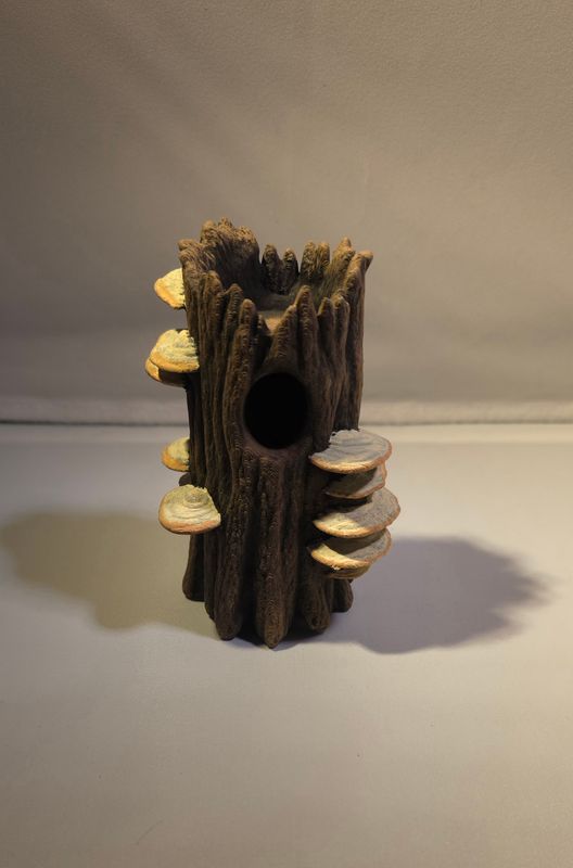 Holle boomstam met paddestoelen