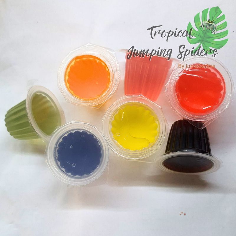 Fruitkuipjes / Jelly cups