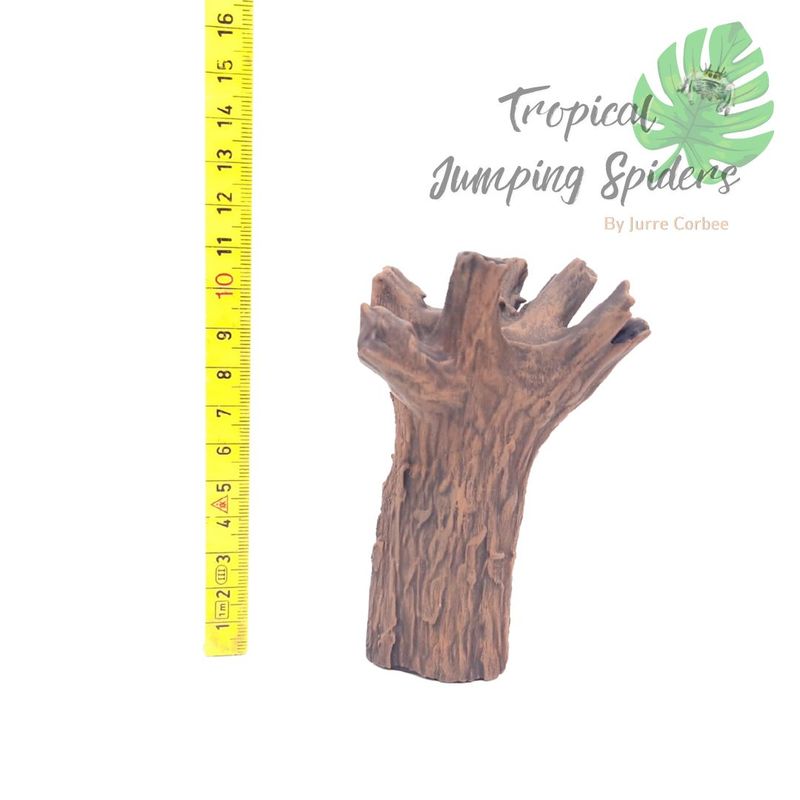 Boomstronk