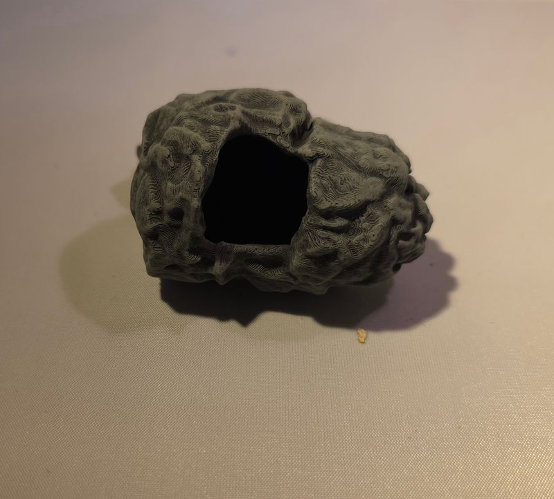 Nest holletjes