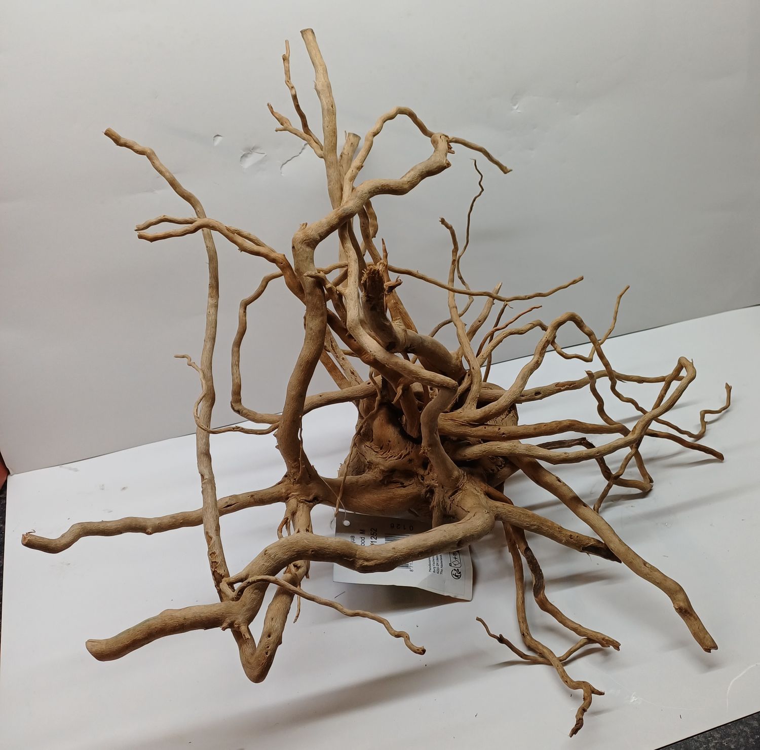 Spiderwood 31 tot 40cm