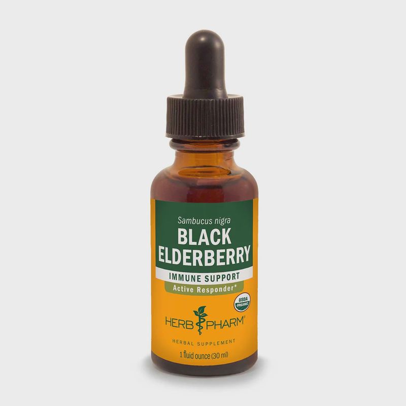 BLACK ELDERBERRY EXTRACT