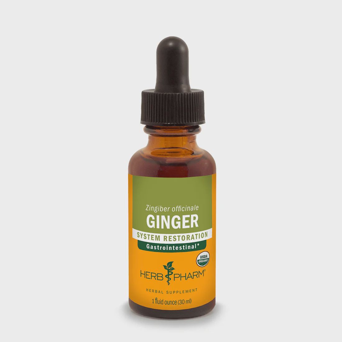 GINGER EXTRACT, Size: 1 FL OZ