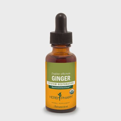 GINGER EXTRACT