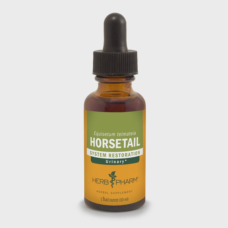HORSETAIL EXTRACT