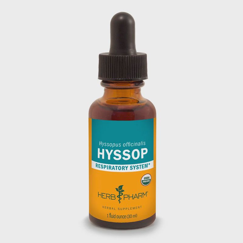 HYSSOP EXTRACT