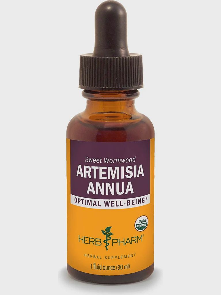 ARTEMISIA ANNUA EXTRACT, Size: 1 FL OZ