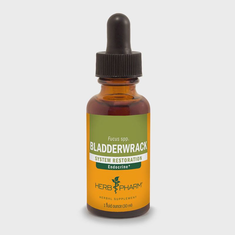 BLADDERWRACK EXTRACT