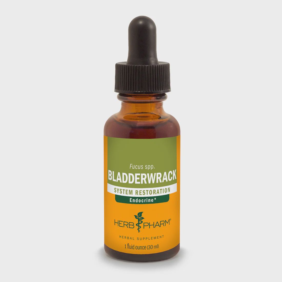 BLADDERWRACK EXTRACT, Size: 1 FL OZ
