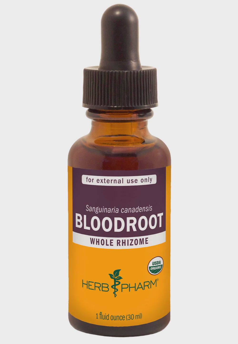 BLOODROOT EXTRACT, Size: 1 FL OZ