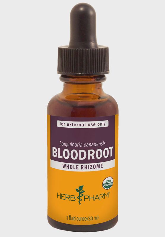 BLOODROOT EXTRACT