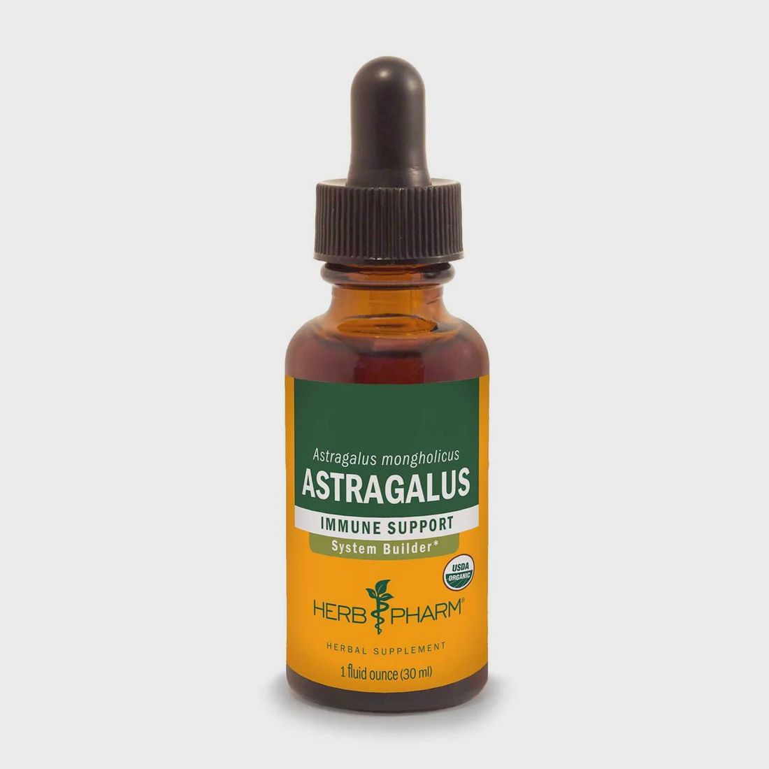 ASTRAGALUS EXTRACT, Size: 1 FL OZ