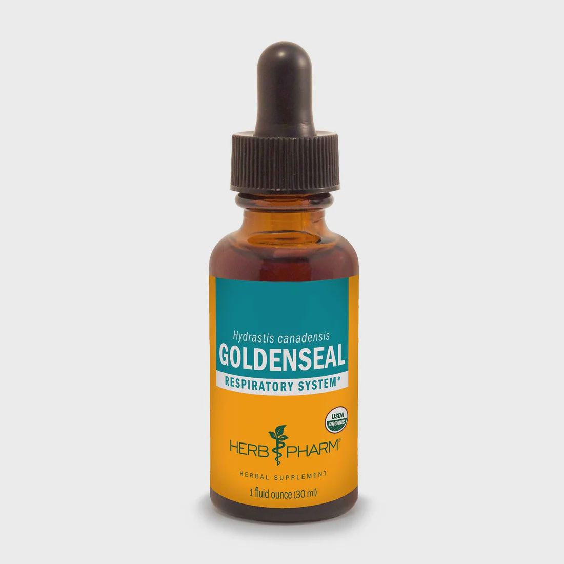GOLDENSEAL EXTRACT, Size: 1 FL OZ
