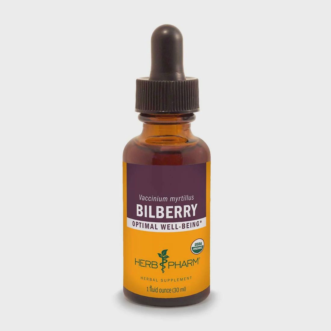 BILBERRY EXTRACT, Size: 1 FL OZ