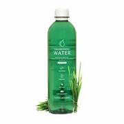 CHLOROPHYLL WATER+, Size: 16.9 FL OZ