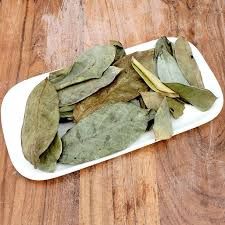 100% NATURAL SOURSOP LEAVES, Size: 10 LEAVES