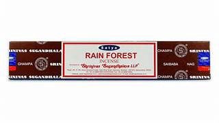 RAIN FOREST, Size: 15 G