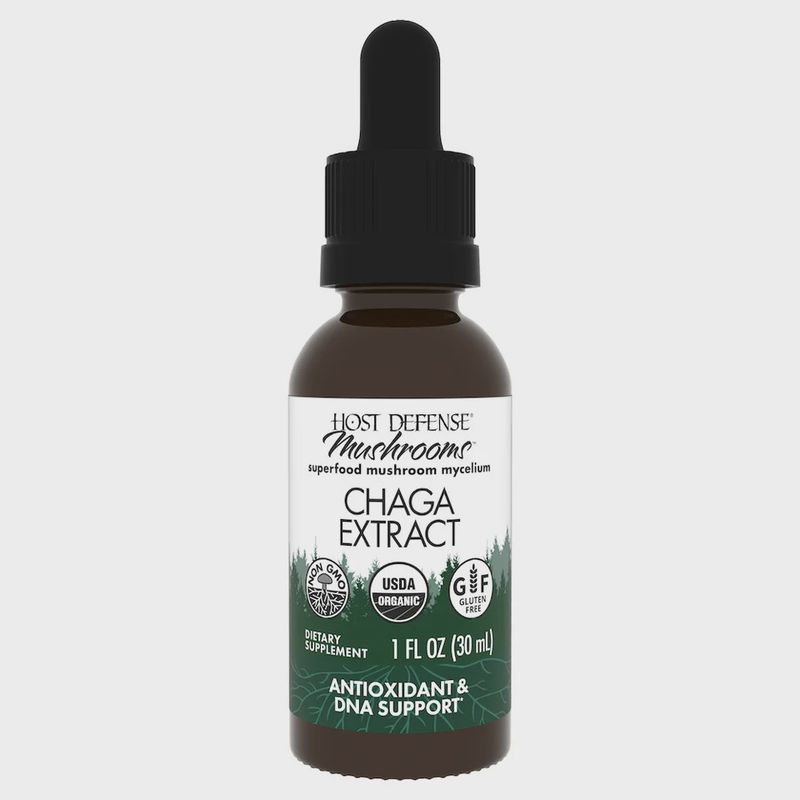 CHAGA EXTRACT