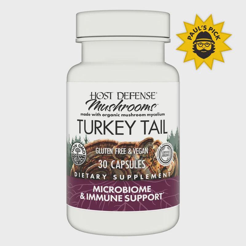 TURKEY TAIL CAPSULES