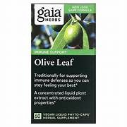 OLIVE LEAF-IMMUNE SUPPORT, Size: 60 LIQUID CAPS