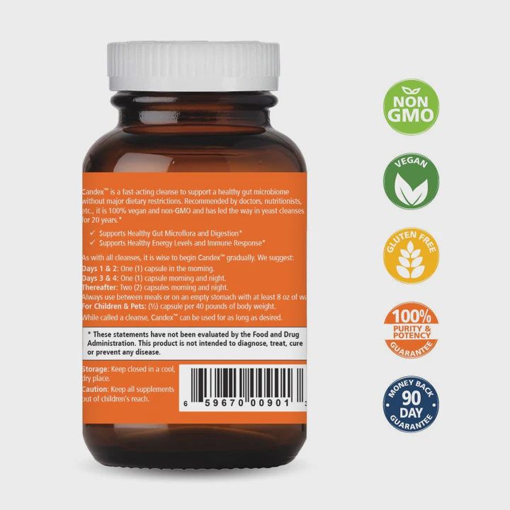 CANDEX