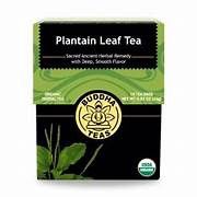 PLANTAIN LEAF TEA, Size: 18 BAGS