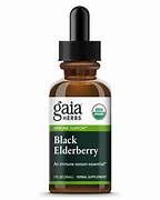 BLACK ELDERBERRY EXT, Size: 1 FL OZ