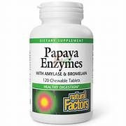 PAPAYA ENZYMES, Size: 120 CHEWABLE TABS
