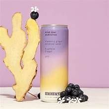 BLUEBERRY GINGER ADAPTOGEN  DRINK