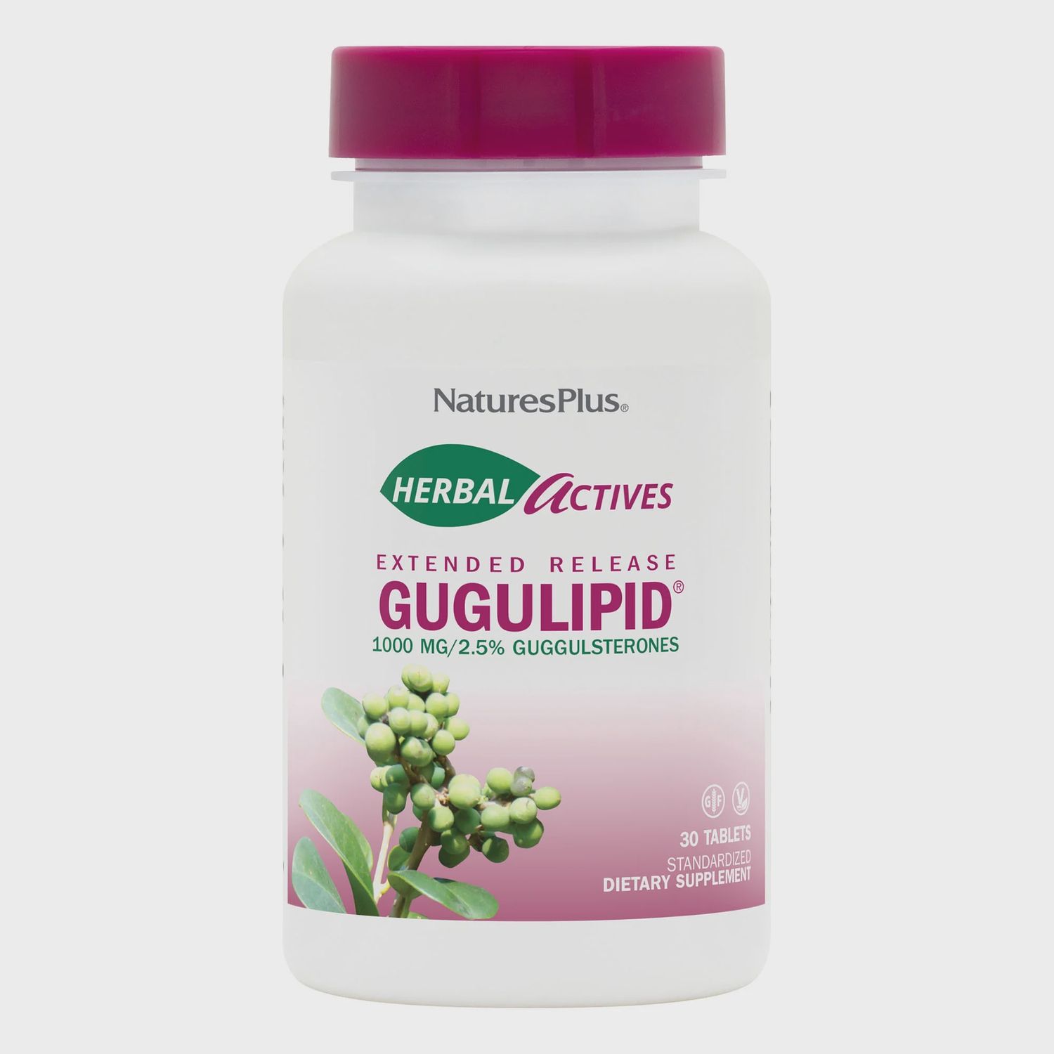 GUGULIPID 1000 MG, Size: 30 VTAB