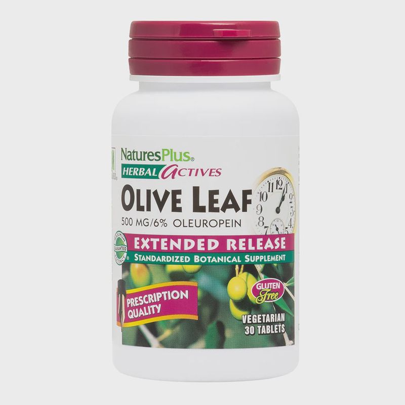 OLIVE LEAF 500 MG