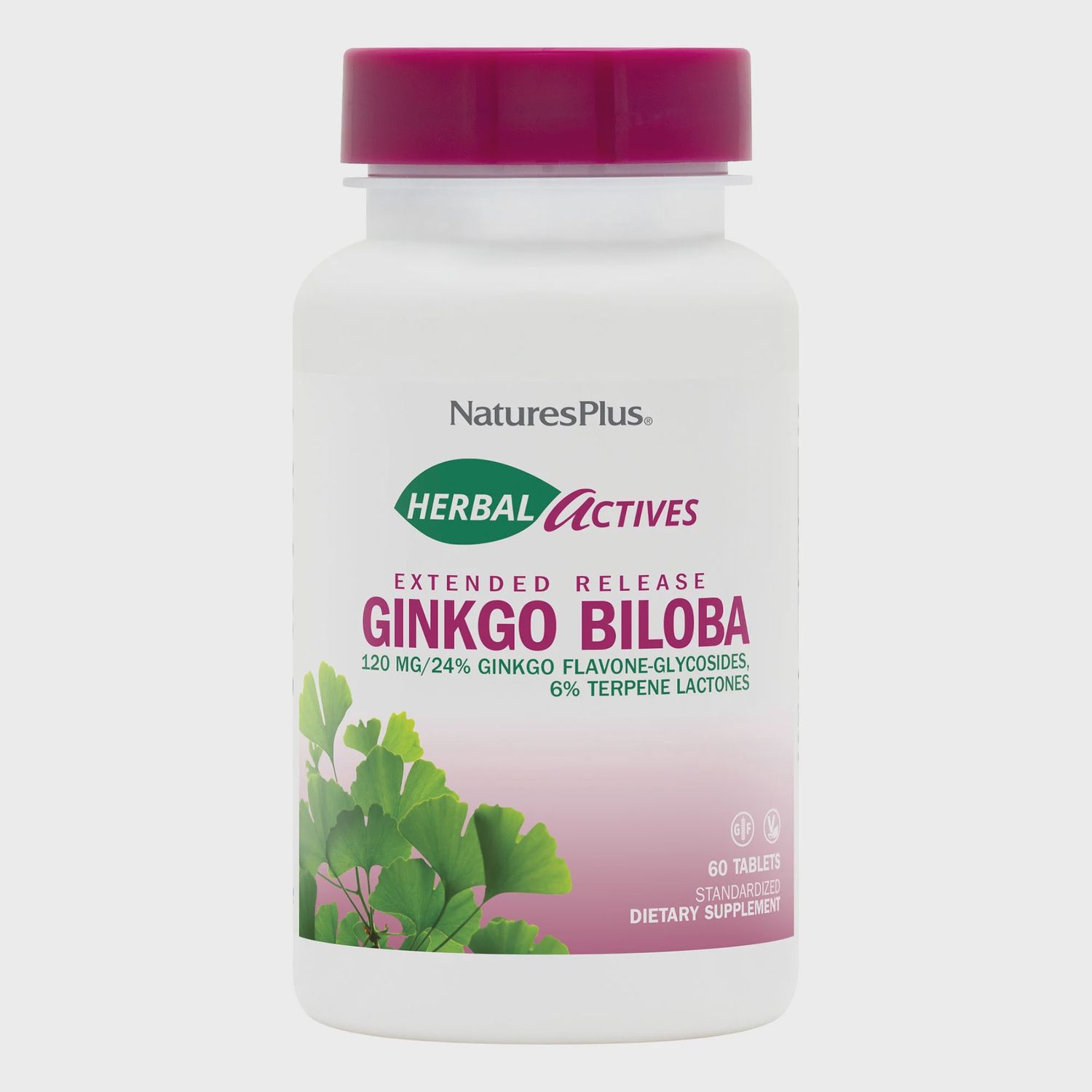GINKGO BILOBA 120 MG, Size: 60 VTABS