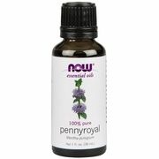 100% PURE PENNYROYAL OIL, Size: 1 FL OZ