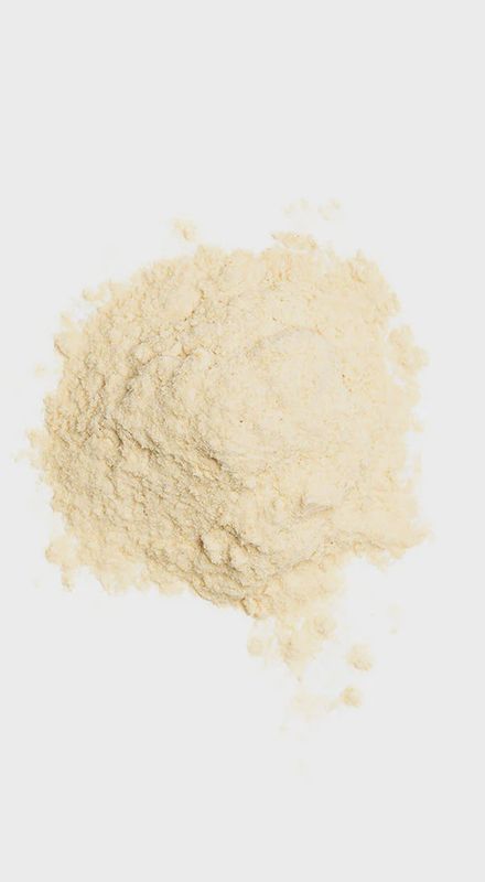 ORGANIC GARLIC POWDER