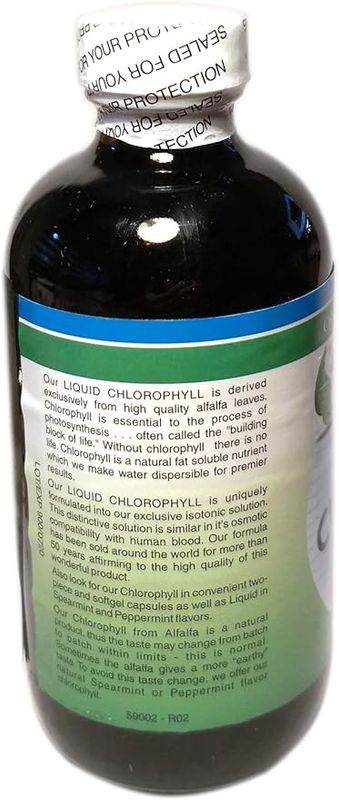 LIQUID CHLOROPHYLL 100 MG WITH SPEARMINT &amp; GLYCERIN