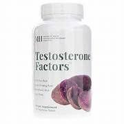 TESTOSTERONE FACTORS, Size: 60 TABS
