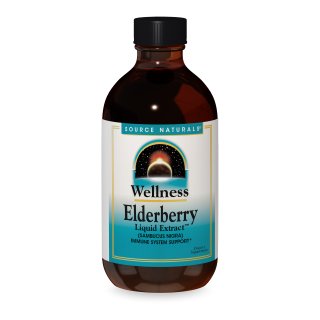 WELLNESS ELDERBERRY LIQUID EXTRACT, Size: 4 FL OZ