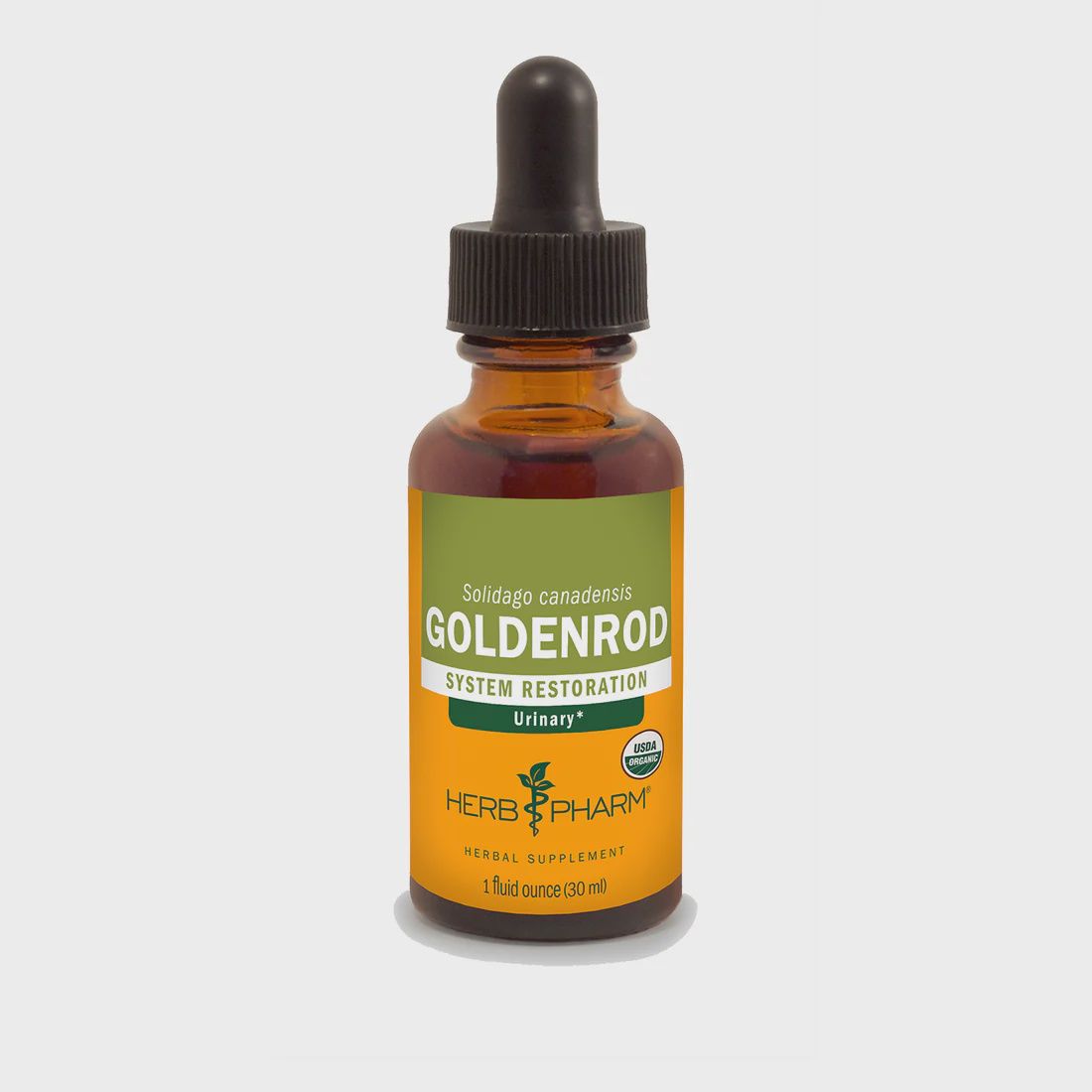 GOLDENROD EXTRACT, Size: 1 FL OZ