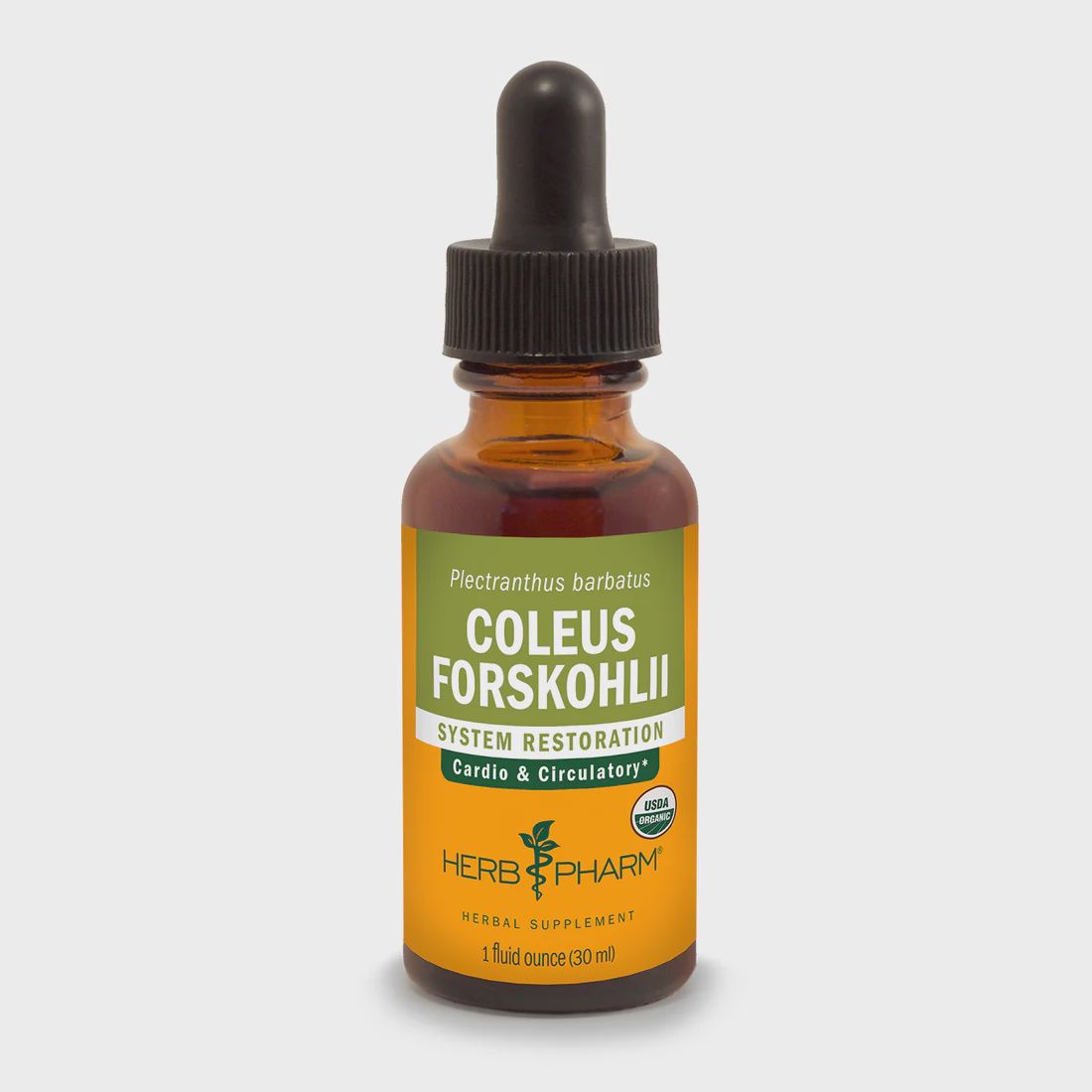 COLEUS FORSKOHLII EXTRACT, Size: 1 FL OZ