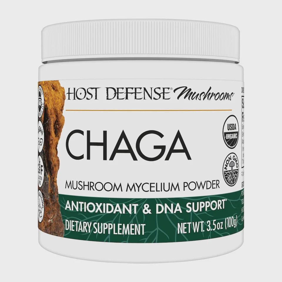 CHAGA POWDER, Size: 3.5 OZ
