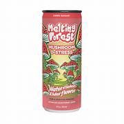 MUSHROOM D-STRESS WATERMELON ELDERFLOWER, Size: 12 FL OZ