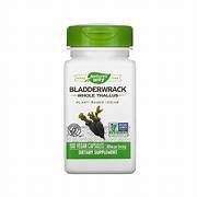 BLADDERWRACK 500 MG, Size: 100 CAPS