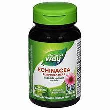 ECHINACEA 1,200 MG, Size: 100 CAPS