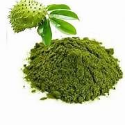 SOURSOP (GRAVIOLA) LEAVES POWDER, Size: 4 OZ