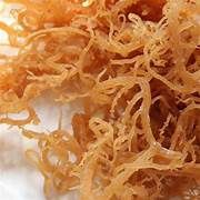 RAW JAMAICAN IRISH SEA MOSS, Size: 1 OZ